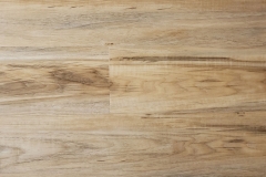 Hickory 5.5mm SPC Flooring